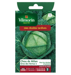 Fiche produit Chou de milan gros des vertus 4