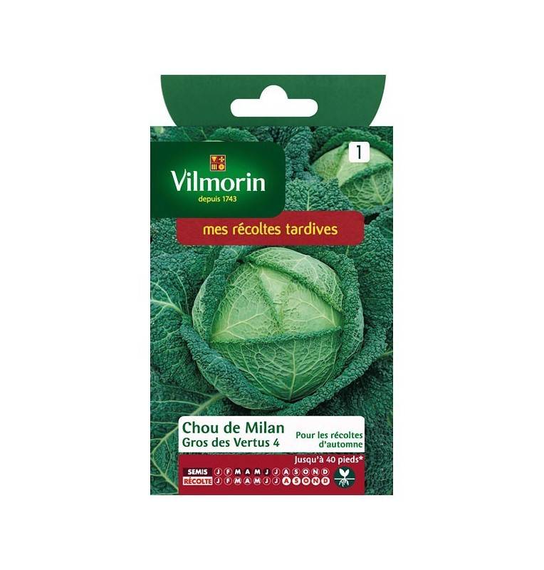 Fiche produit Chou de milan gros des vertus 4