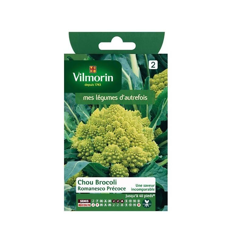 Fiche produit Chou Brocoli Romanesco Précoce