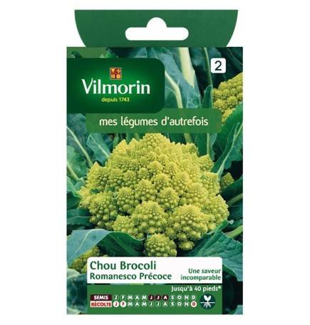 Fiche produit Chou Brocoli Romanesco Précoce