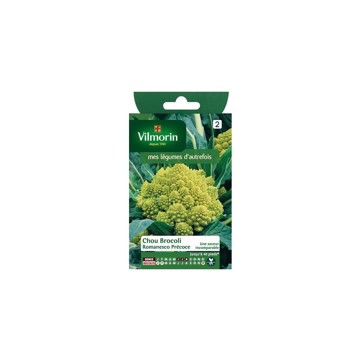 Fiche produit Chou Brocoli Romanesco Précoce