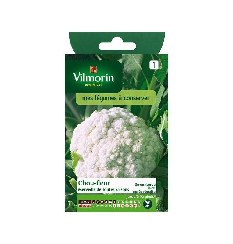 Product sheet Cauliflower Wonder of all seasons