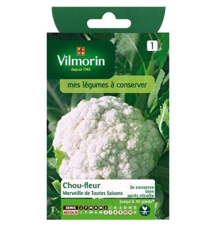 Product sheet Cauliflower Wonder of all seasons