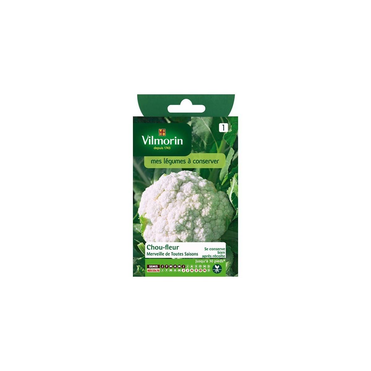 Product sheet Cauliflower Wonder of all seasons