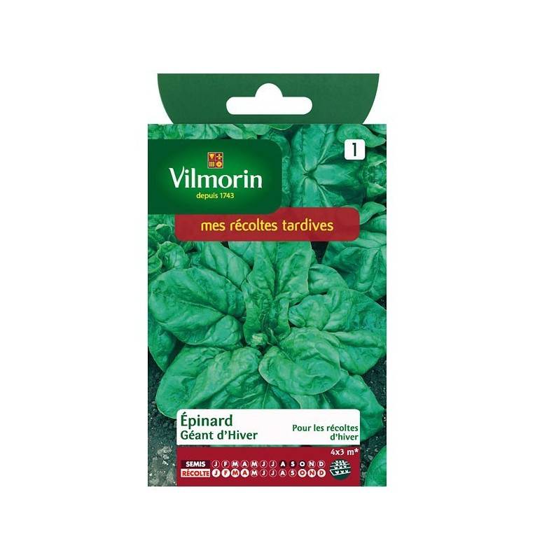 Product sheet Winter Giant Spinach