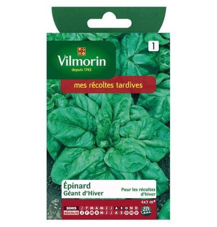 Product sheet Winter Giant Spinach