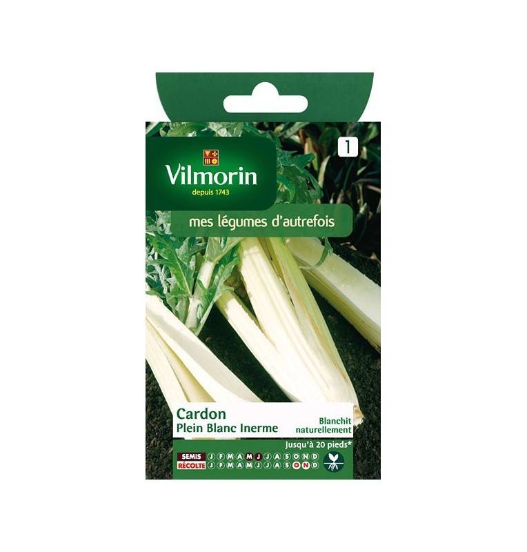 Product sheet Cardoon solid white