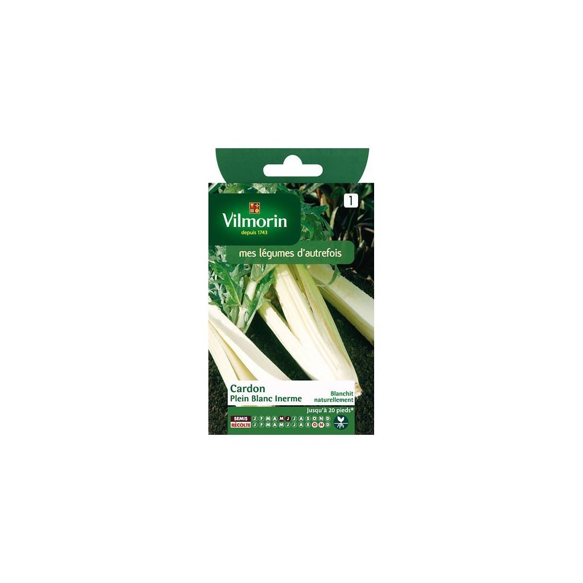 Fiche produit Cardon plein blanc inerme