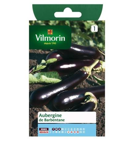 Fiche produit Aubergine de Barbentane