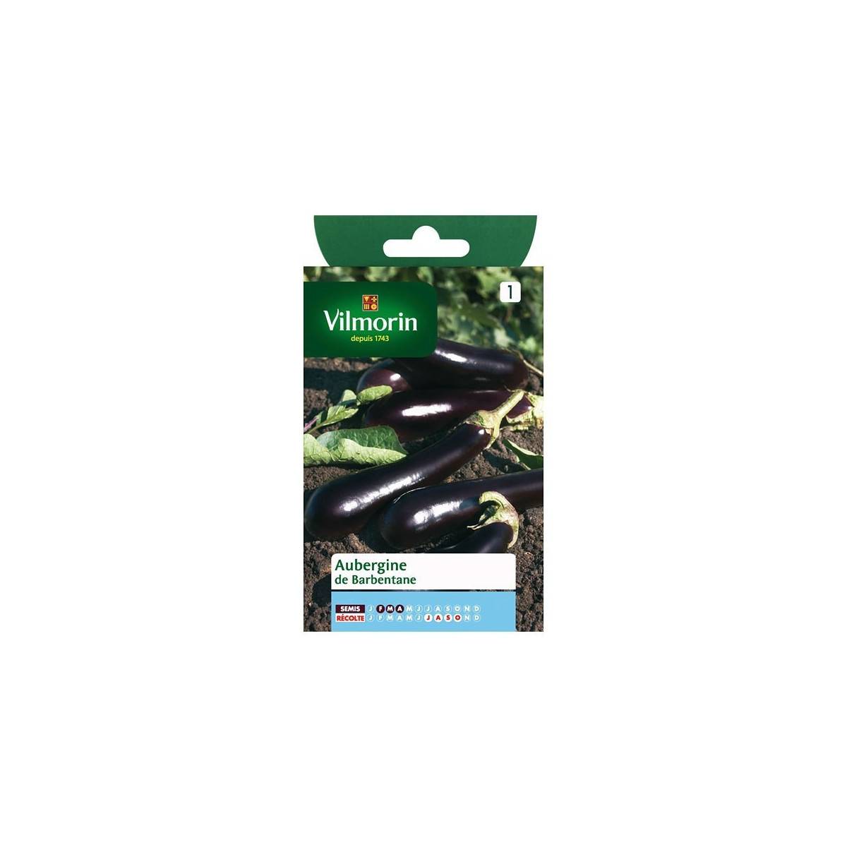 Fiche produit Aubergine de Barbentane