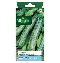 Fiche produit Courgette non coureuse d'Italie