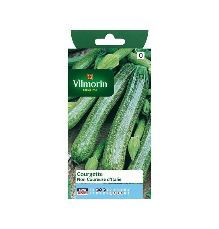 Fiche produit Courgette non coureuse d'Italie