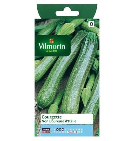 Fiche produit Courgette non coureuse d'Italie