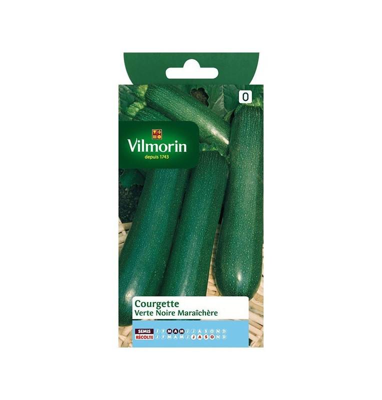 Fiche produit Courgette verte noire maraichere