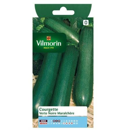 Fiche produit Courgette verte noire maraichere