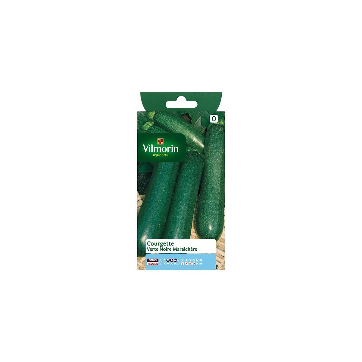 Fiche produit Courgette verte noire maraichere