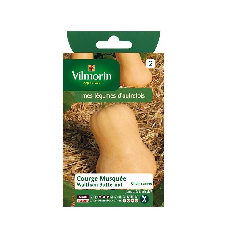 Fiche produit Courge Musquée Waltham Butternut