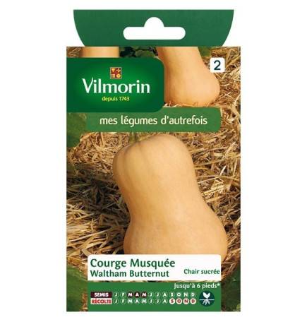 Fiche produit Courge Musquée Waltham Butternut