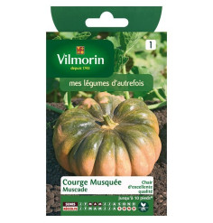 Fiche produit Courge Musquée Muscade