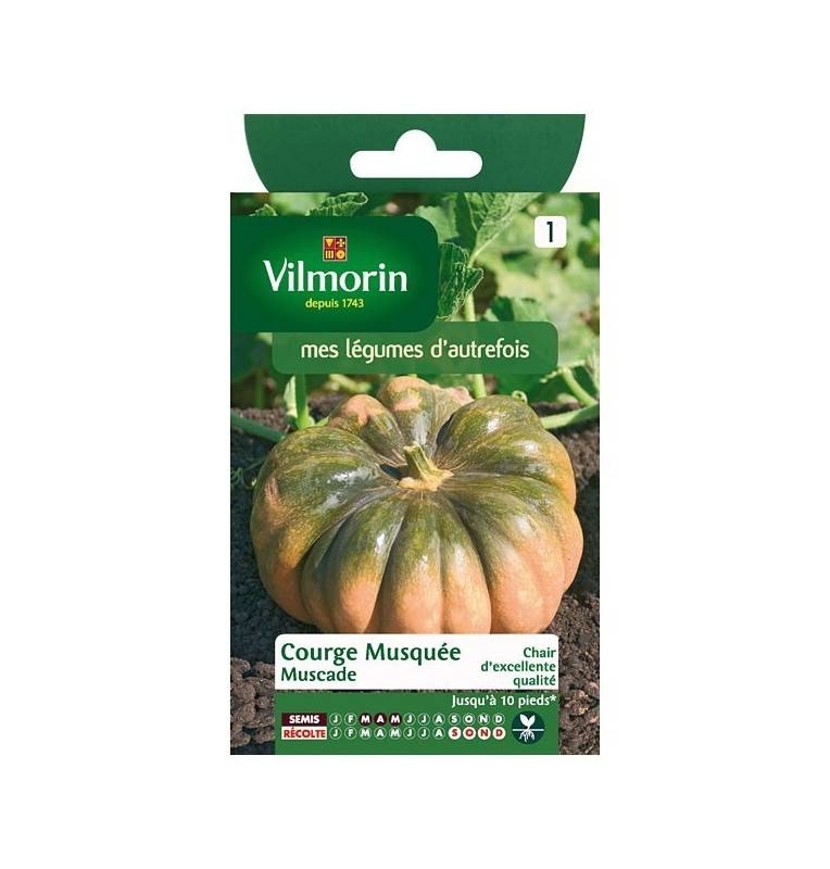 Fiche produit Courge Musquée Muscade