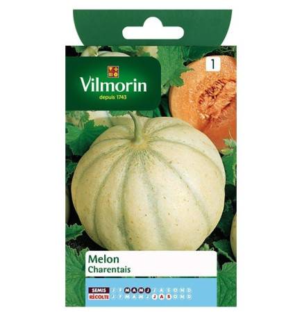 Fiche produit Melon charentais