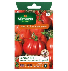 Fiche produit Tomate coeur de boeuf Corazon HF1