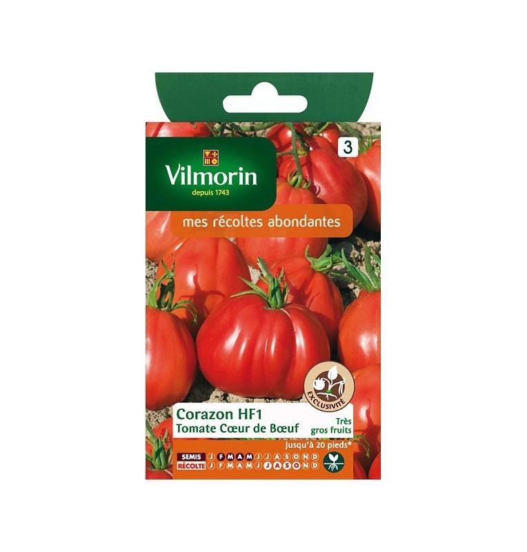 Fiche produit Tomate coeur de boeuf Corazon HF1