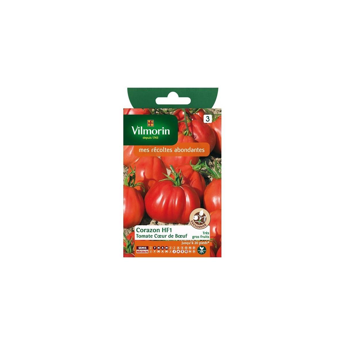 Fiche produit Tomate coeur de boeuf Corazon HF1