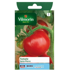 Fiche produit Tomate Saint Pierre