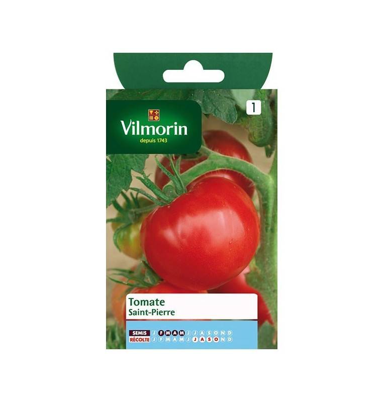 Fiche produit Tomate Saint Pierre