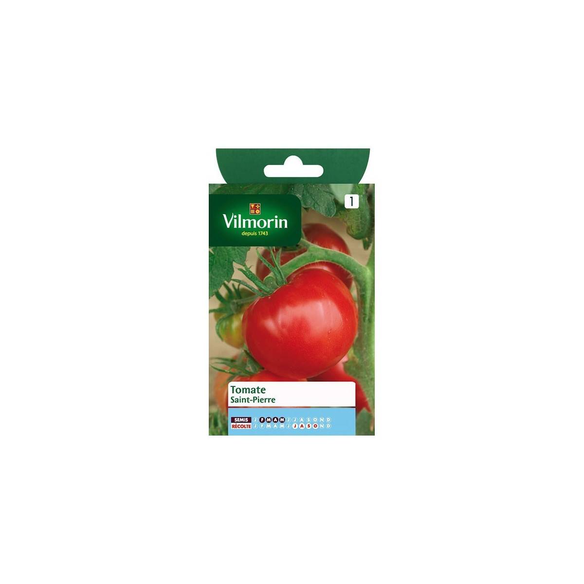 Fiche produit Tomate Saint Pierre