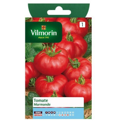 Fiche produit Tomate Marmande