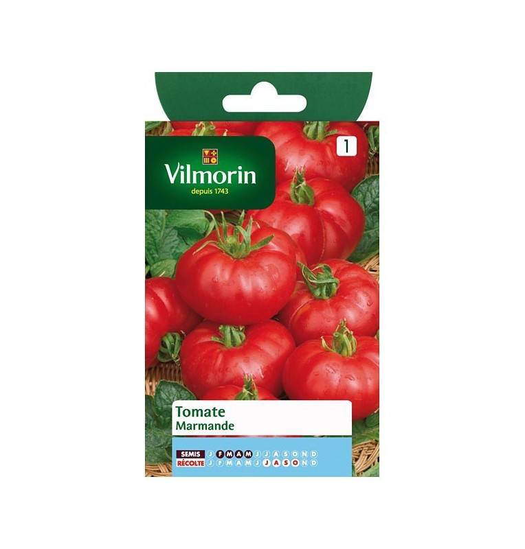 Fiche produit Tomate Marmande