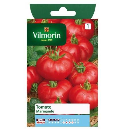 Fiche produit Tomate Marmande