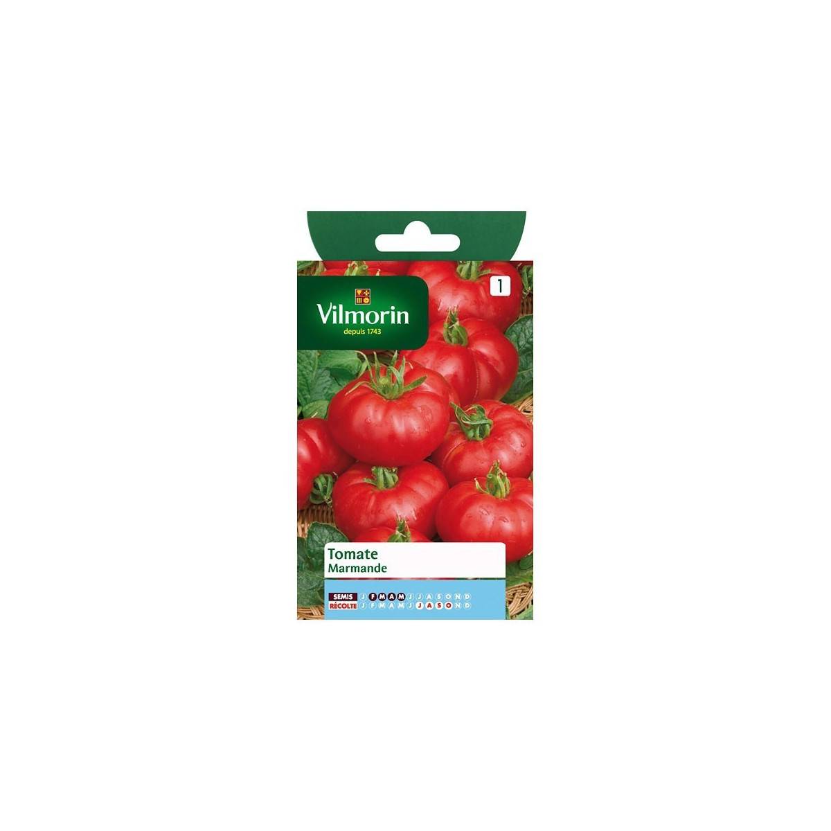 Fiche produit Tomate Marmande