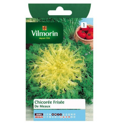 Fiche produit Chicorée frisée de Meaux