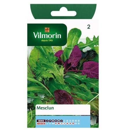 Fiche produit Mesclun