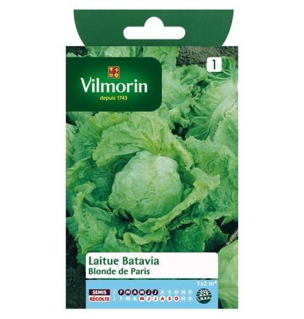 Product details Lettuce Batavia Blonde from PAris