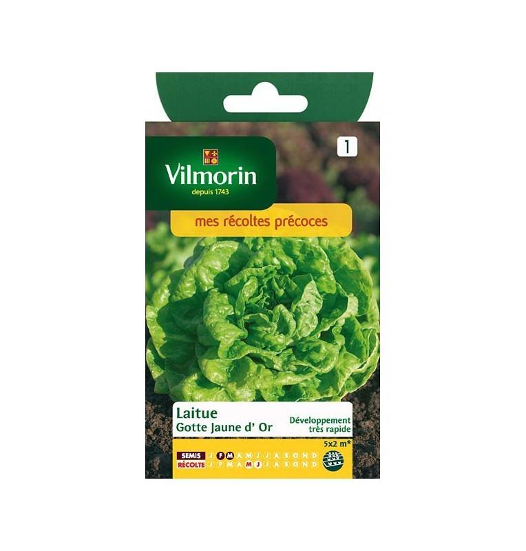 Product sheet Lettuce Gotte yellow gold