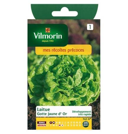 Product sheet Lettuce Gotte yellow gold