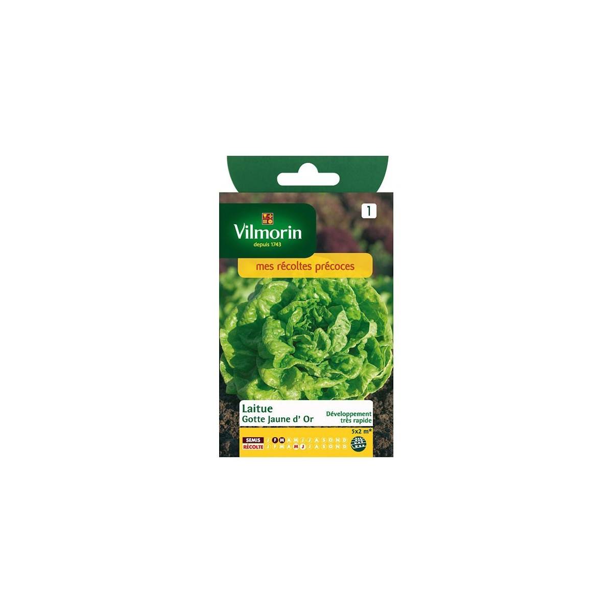 Product sheet Lettuce Gotte yellow gold