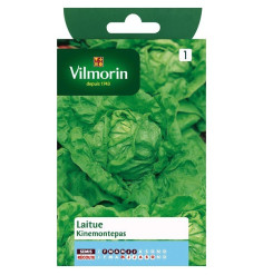 Product sheet Lettuce Kinemontepas