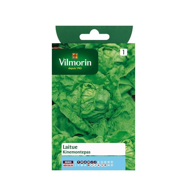 Product sheet Lettuce Kinemontepas