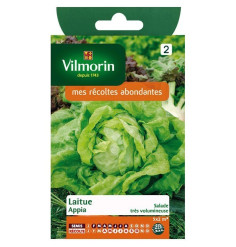 Product sheet Lettuce Appia