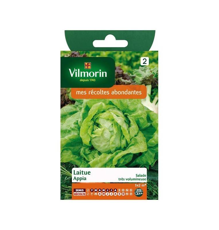 Product sheet Lettuce Appia