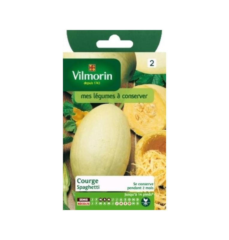 Fiche produit Courge Spaghetti