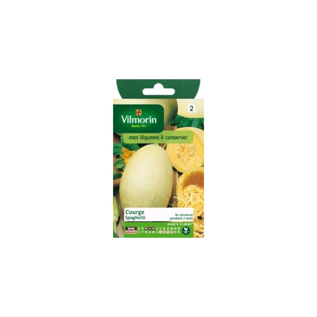 Fiche produit Courge Spaghetti