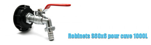 Robinet raccord Cuve 1000 Litres - Femelle 2\ S60x6 avec robinet  connecteur jardin