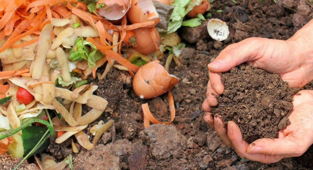 How to make compost well?