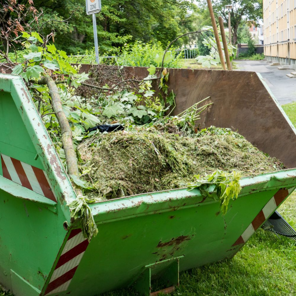 What to do with your green waste at home? Eco-friendly methods for recycling